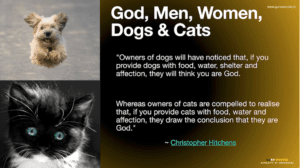 God, Men, Women, Dogs and Cats