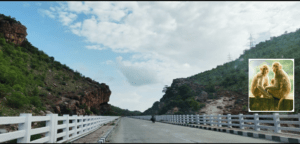 A beautiful road with monkeys on the side.