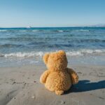 Photo by hello aesthe: https://www.pexels.com/photo/lone-teddy-bear-left-on-a-beach-16691241/