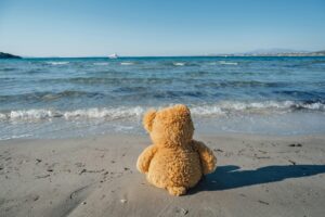 Photo by hello aesthe: https://www.pexels.com/photo/lone-teddy-bear-left-on-a-beach-16691241/