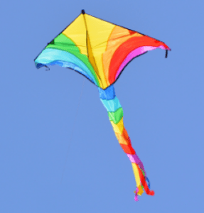 Kite image_4